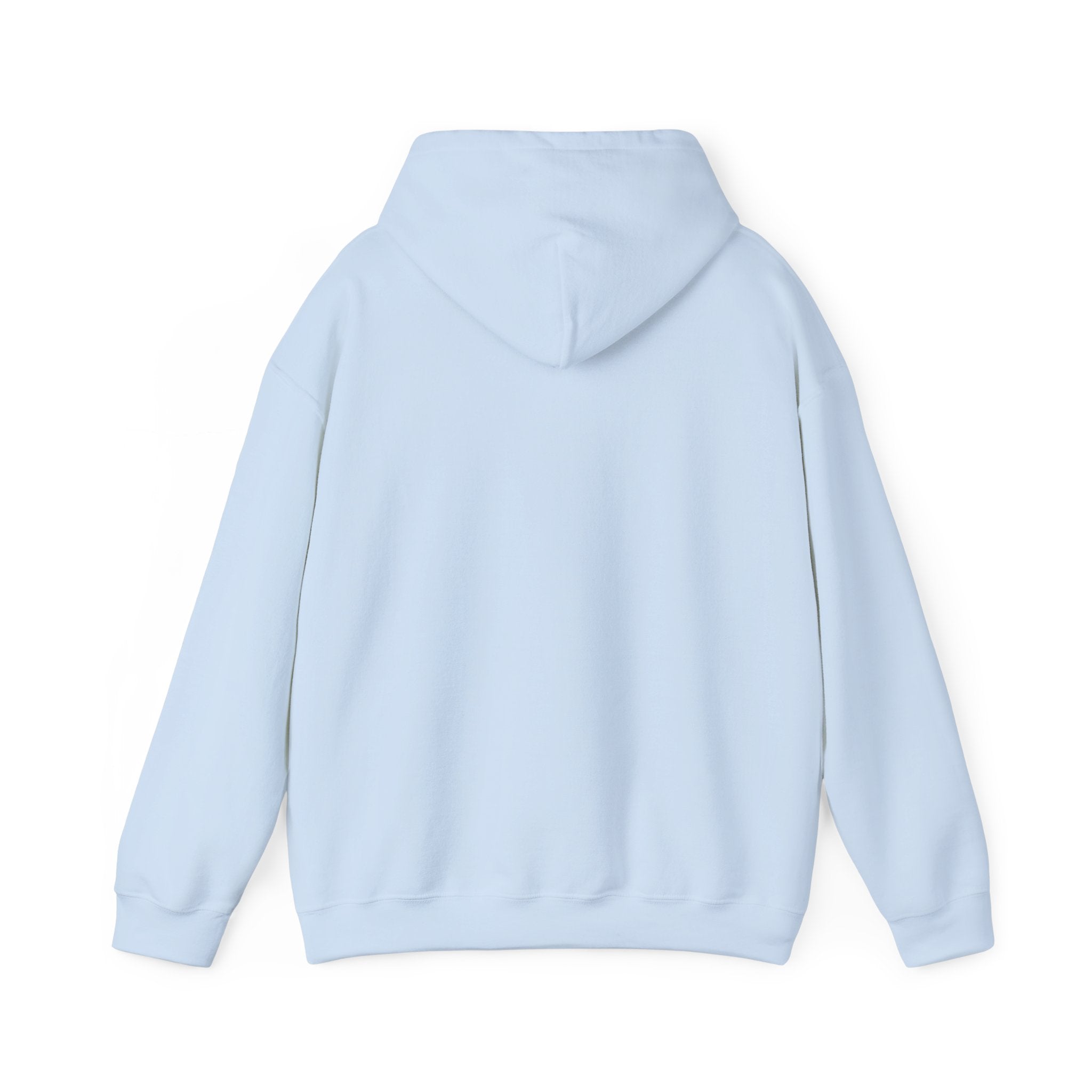 The Sky is Blue Hoodie