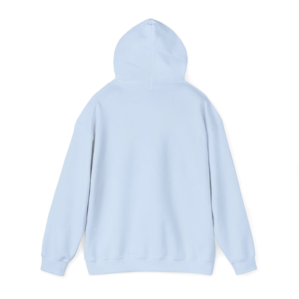 The Sky is Blue Hoodie