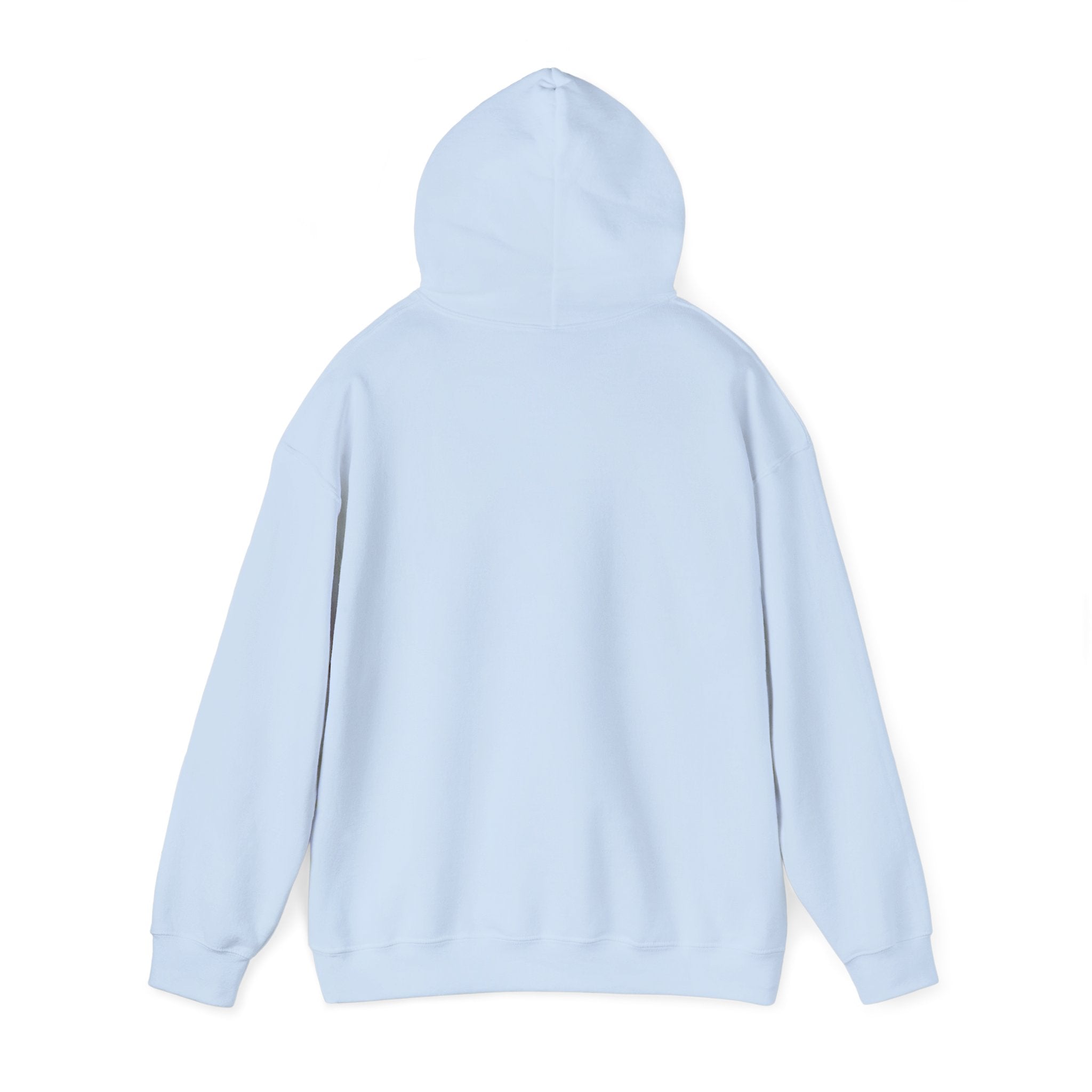 The Sky is Blue Hoodie
